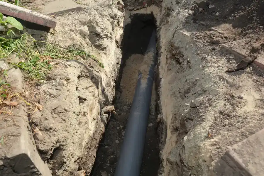 How Tree Roots Can Damage Sewer Lines And Solutions Bentonville, AR How Tree Roots Can Damage Sewer Lines And Solutions Bentonville, AR